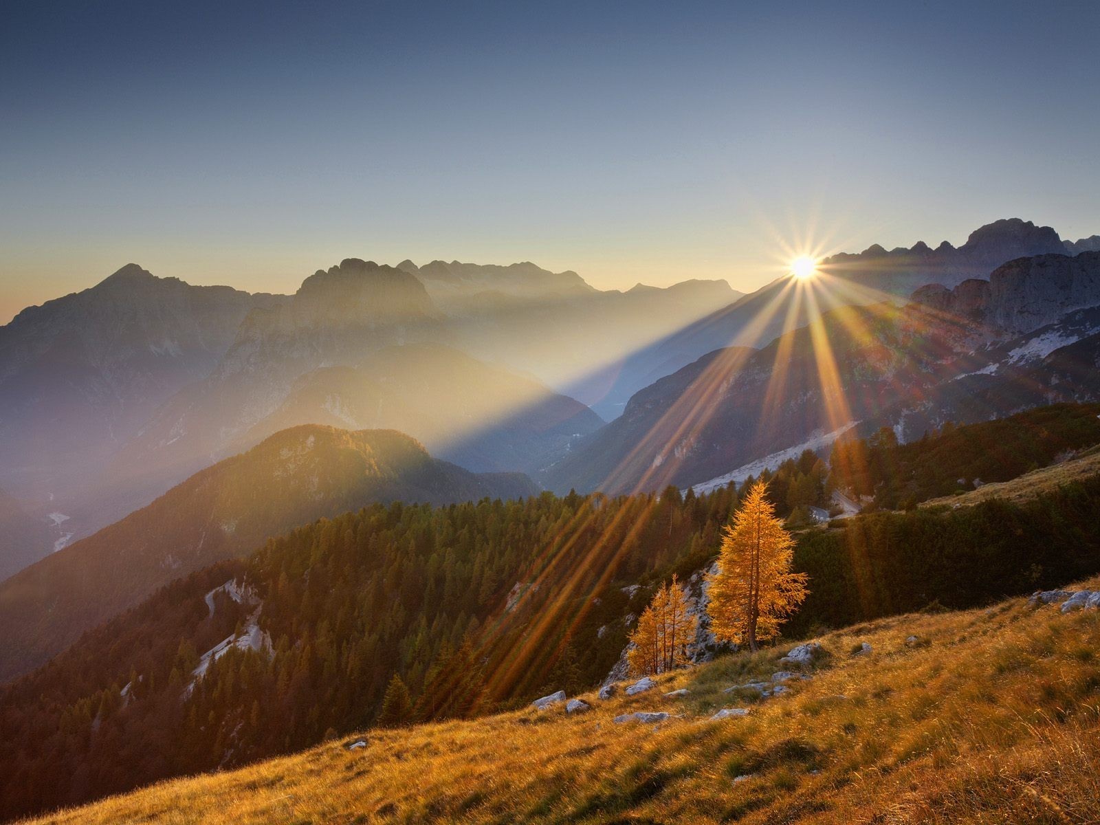 montagne foresta alberi sole tramonto