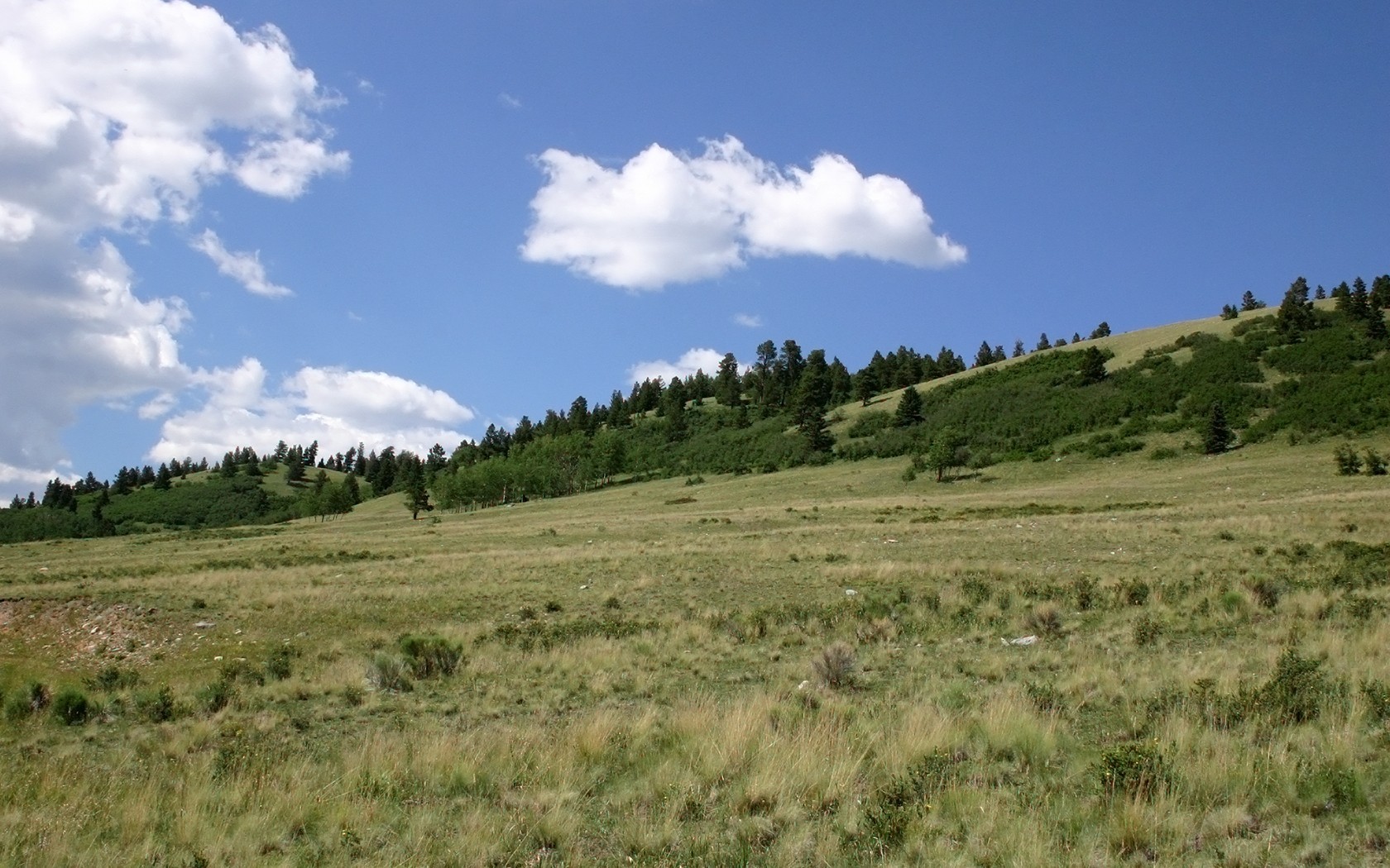 colline champ arbres nuages