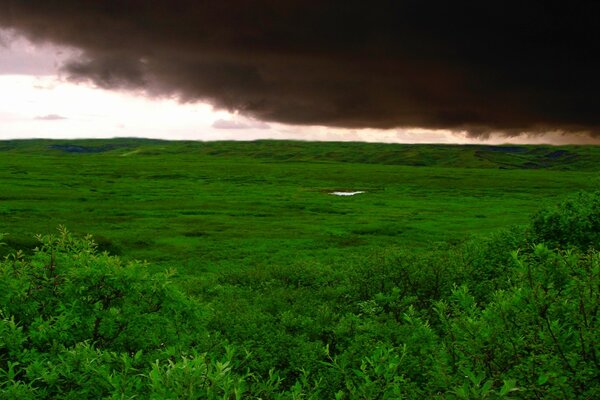 Das grüne Feld wird von einem schwarzen Sturm überholt