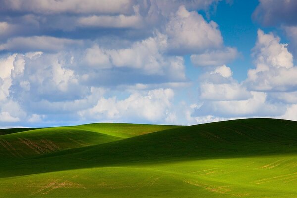 Foto auf dem Desktop. Grünes Feld mit Hügeln. Niedrig platzierte Wolken