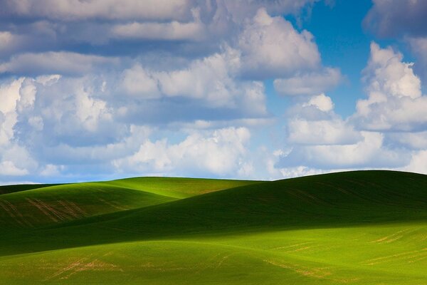 Фото на рабочий стол. Зелёное поле с холмами. Низкорасположенные облака
