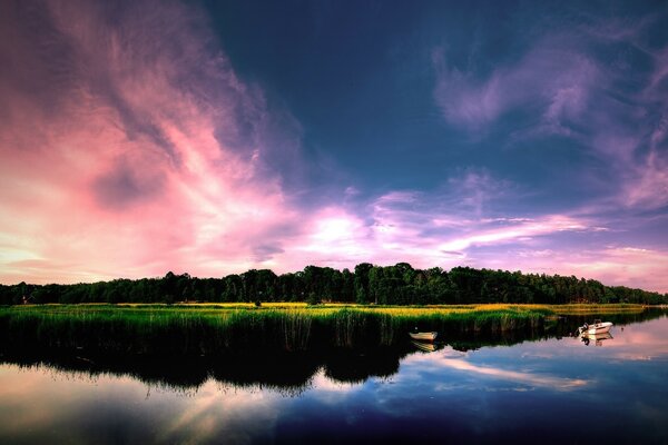 Sonnenuntergang über dem See und dem grünen Wald