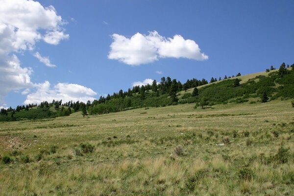 Beautiful landscape of a field with a hill