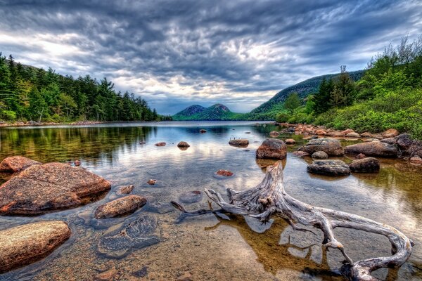 Камни в воде. Озеро в лесу