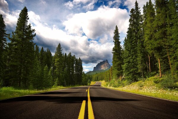 Una strada tranquilla nella foresta