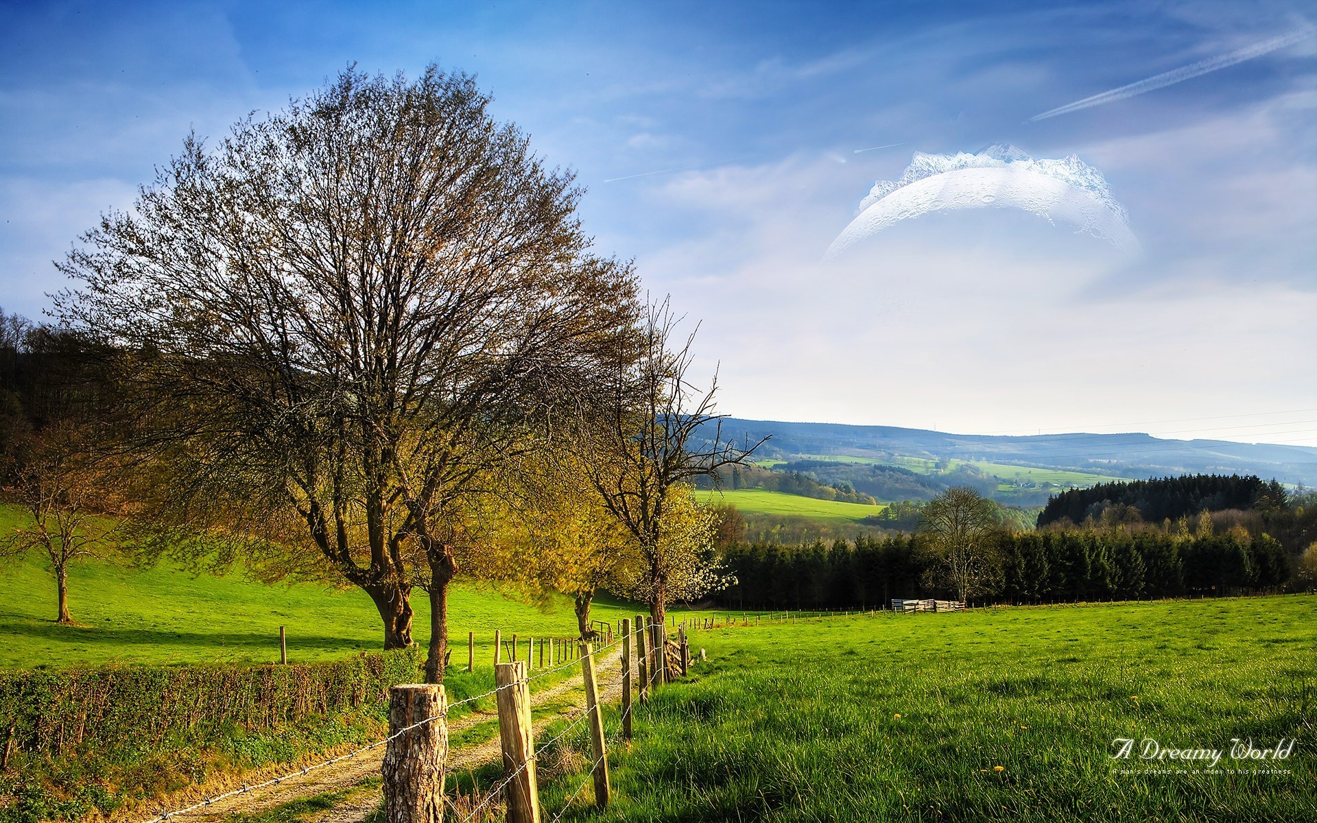 mundo de ensueño campo carretera cerca árbol