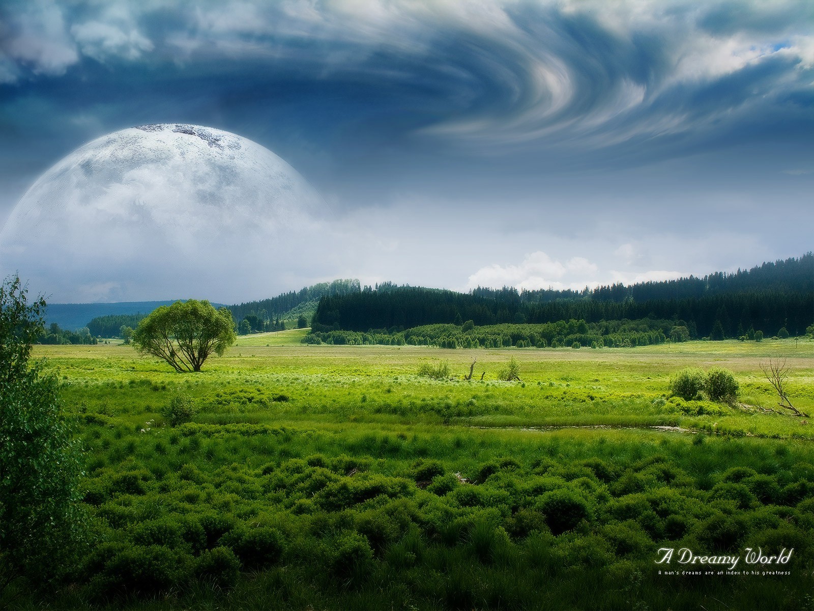 dreamy world the field forest clouds moon
