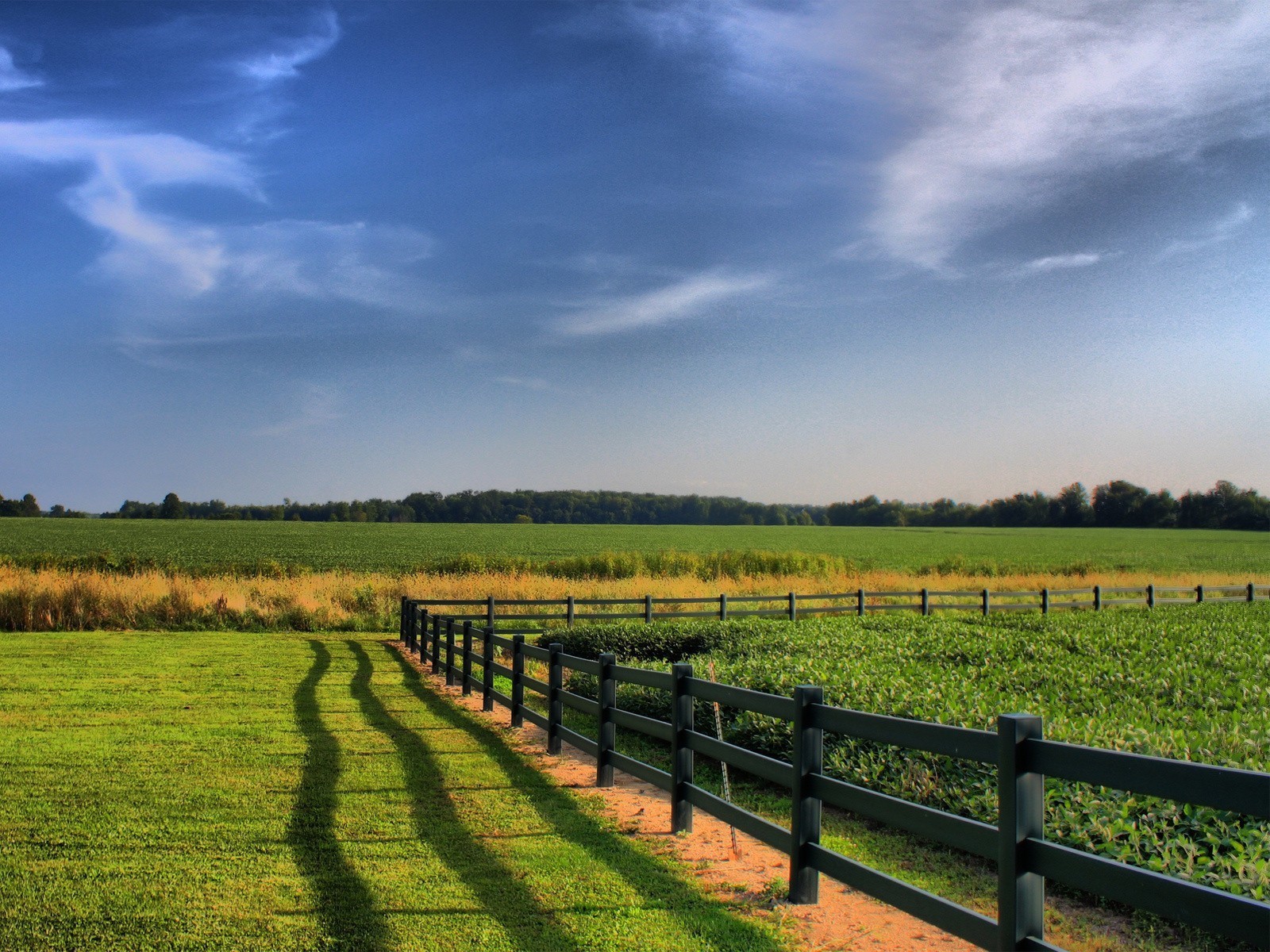 the field fence sky