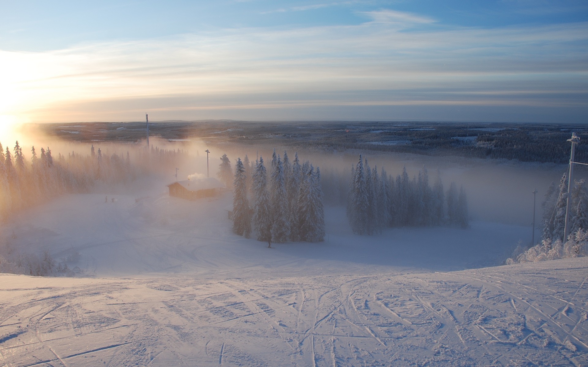 hiver brouillard ski forêt