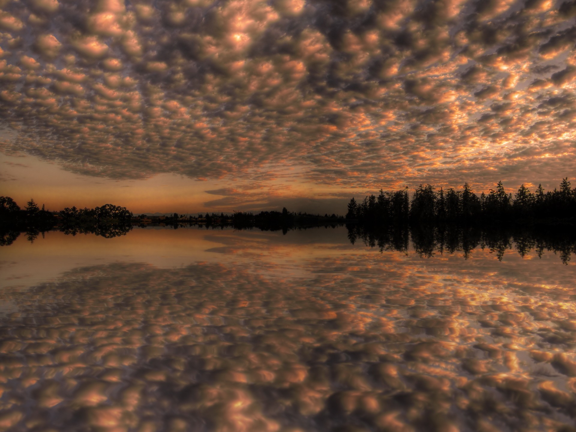 cielo nubes reflexión árboles lago