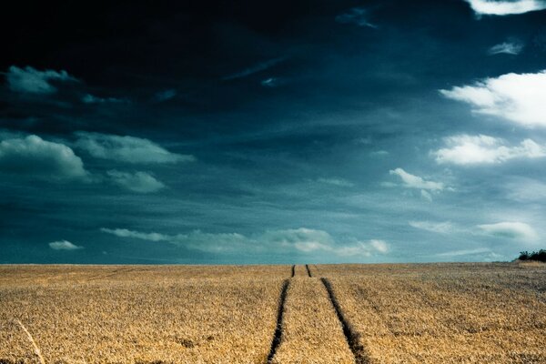 Camino del desierto entre el campo