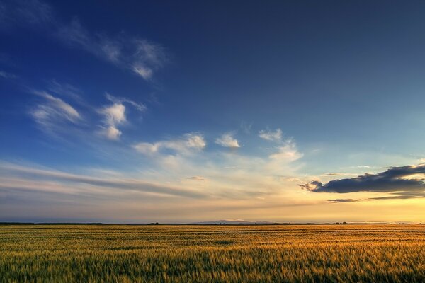 Champ russe. Ciel et nuages