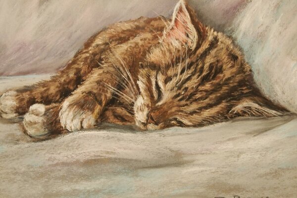 Рисунок спящего котёнка. Художник d. bargur