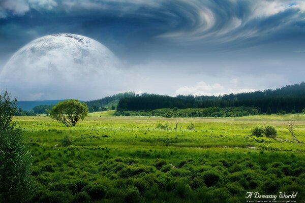 Un mundo de ensueño entre campos, bosques, nubes bajo la Luna