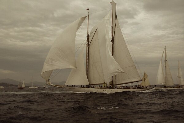 Yacht with raised sails on the water