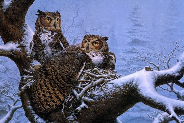 Winter Nest owl family