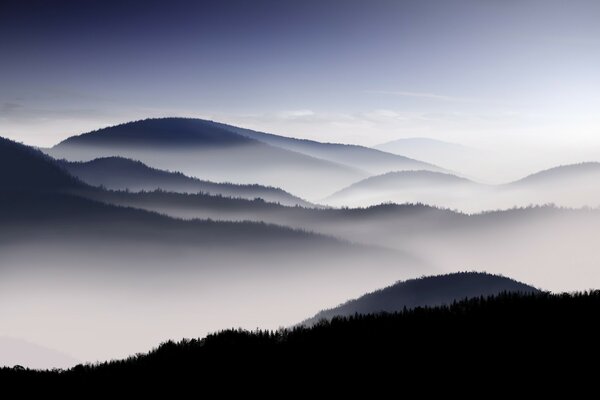 Закутанные в туман утренние горы