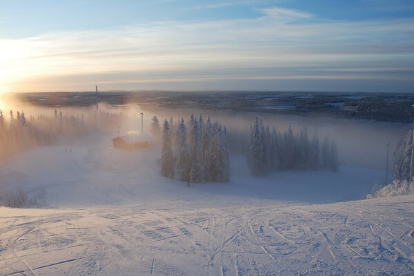 Skifahren im Wintermorgenwald