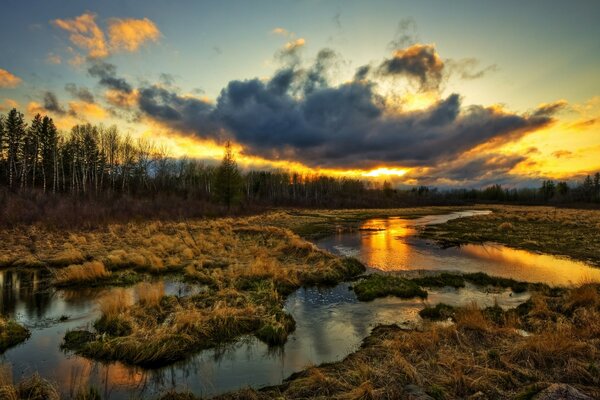 Sonnenuntergang am Rand des Birkenwaldes