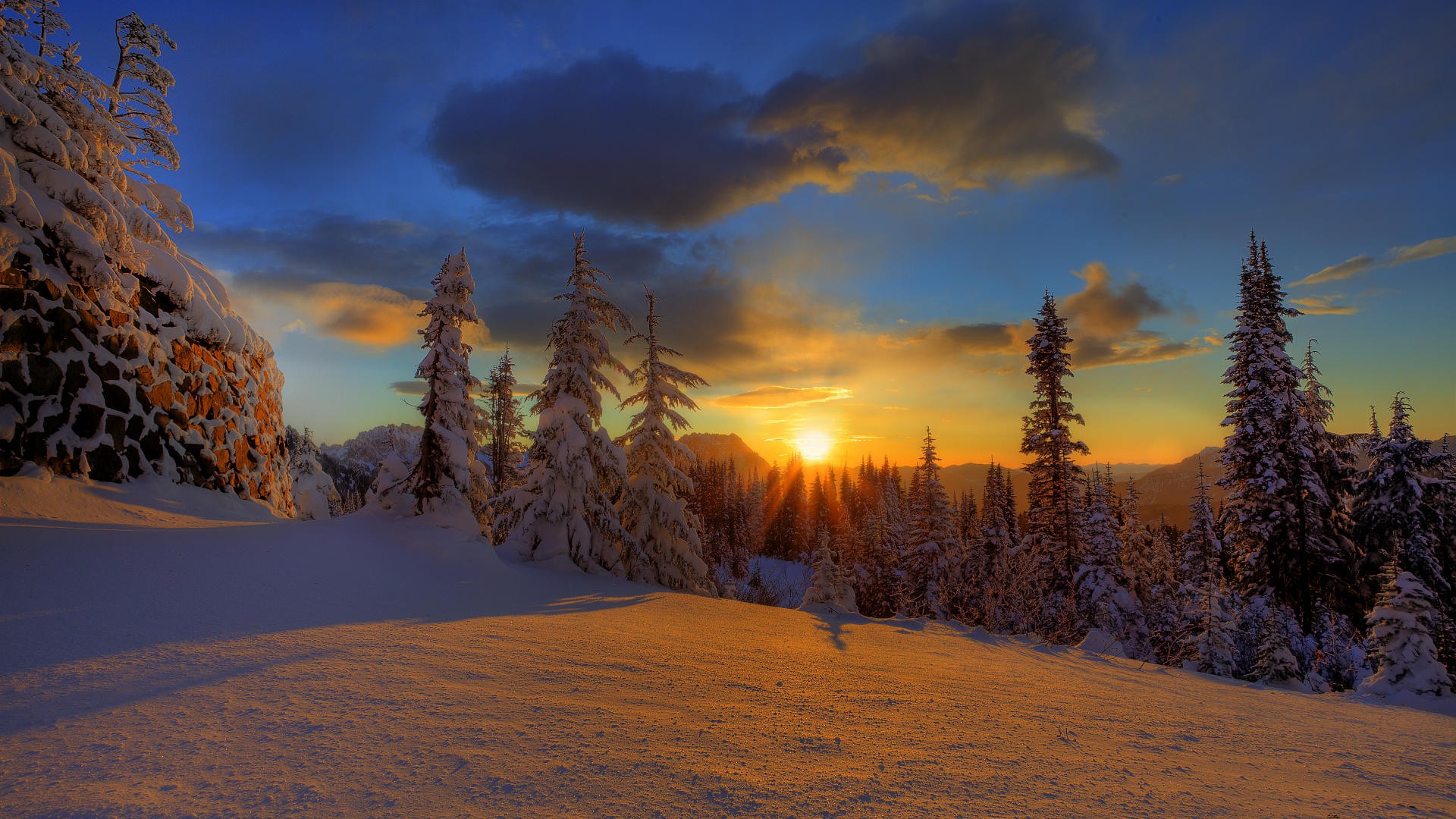 inverno foresta neve alberi di natale cielo tramonto nuvole natura bellezza