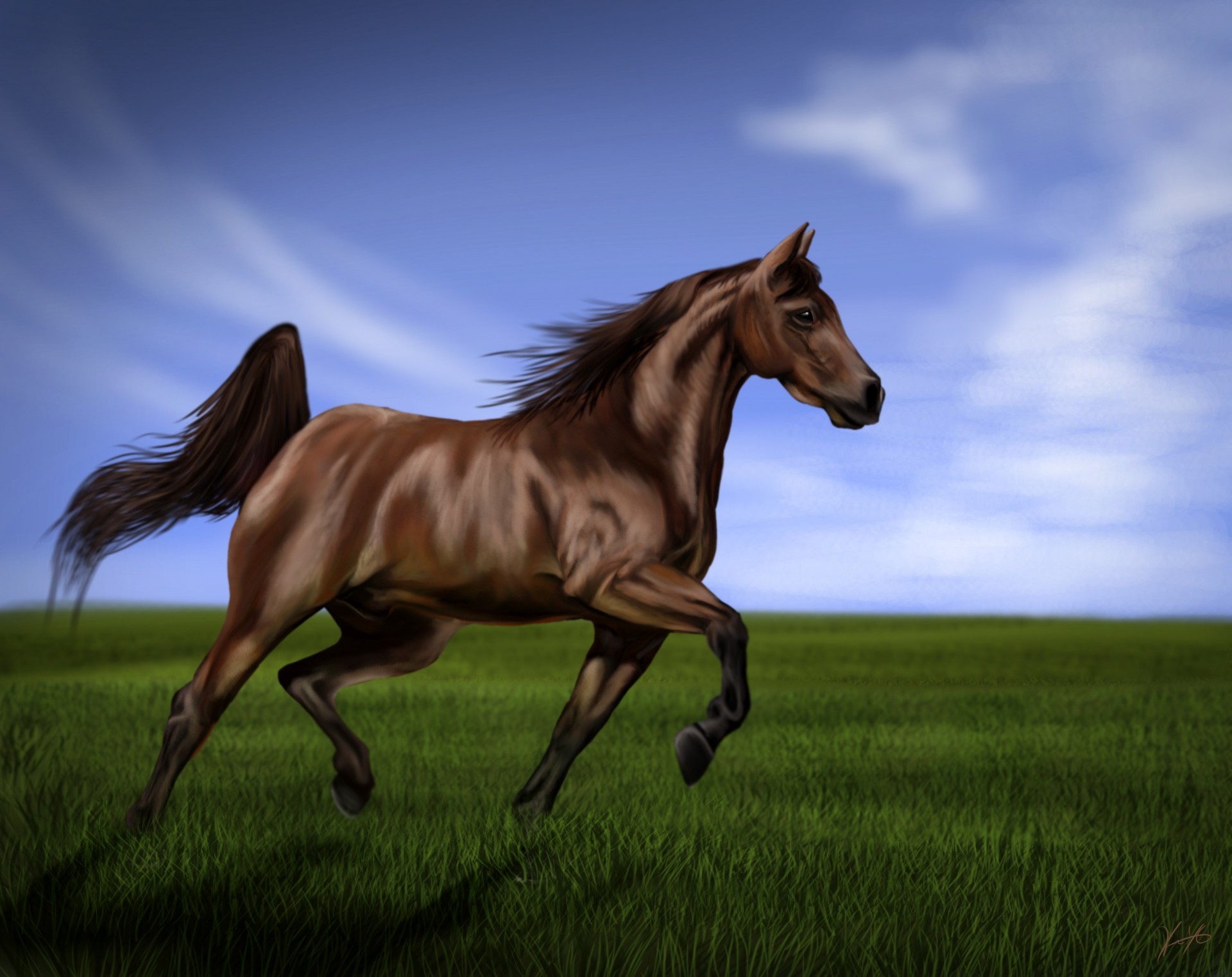 art green pattern mane grass tail sky horse shadow jump