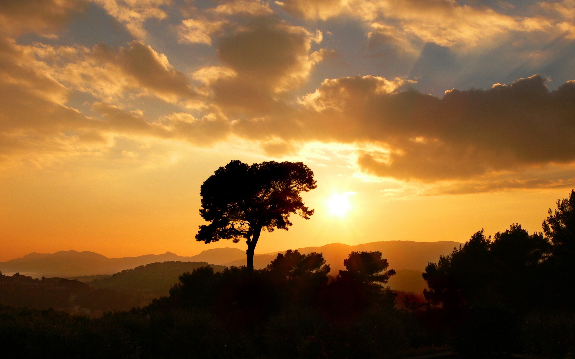 goldene sonne sonne baum wolken sonnenuntergang