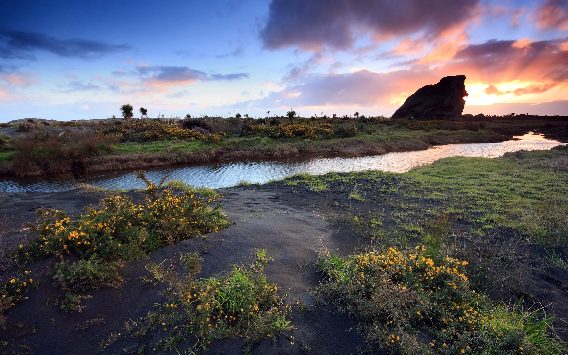 puesta de sol roca hierba río