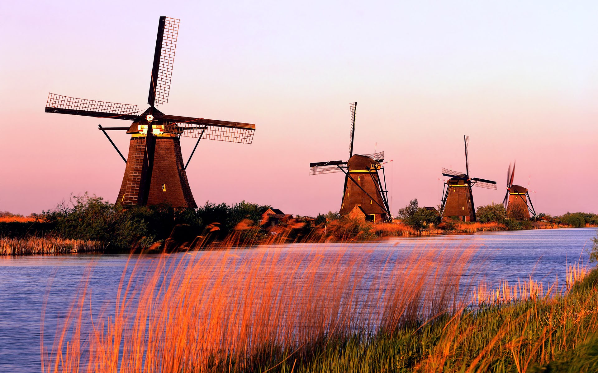 molinos holanda canal hierba