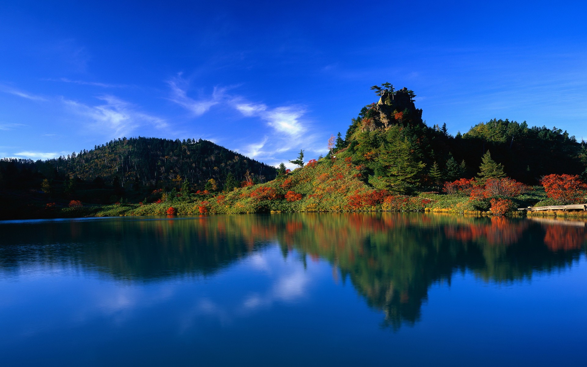 lake reflection forest water japan