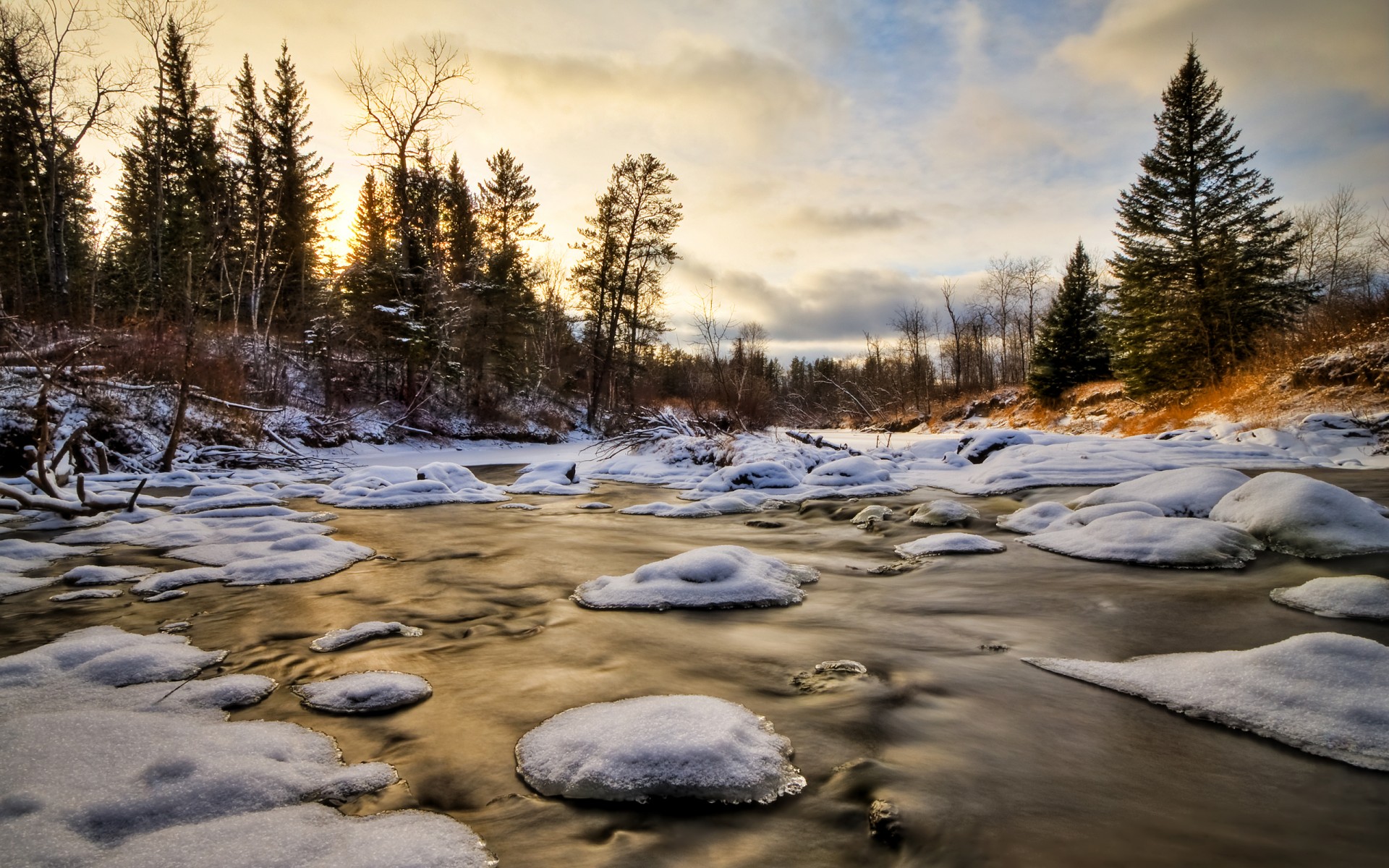 bosque hielo nieve árboles agua invierno