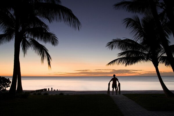 Silhouette d homme sur fond de coucher de soleil au bord de la mer. Grands palmiers