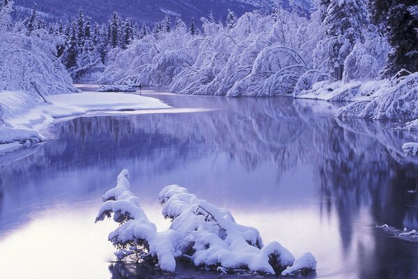 Winterlandschaft am Flussufer