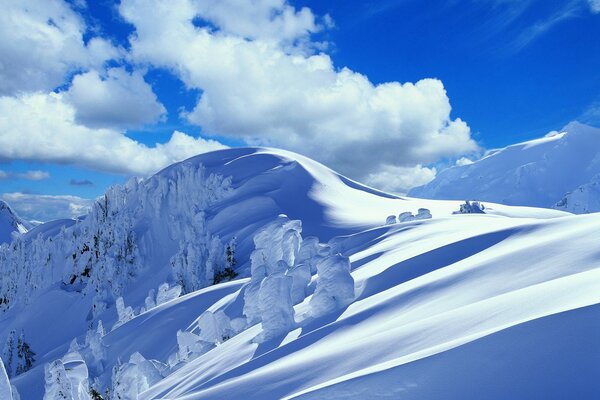 Cumuli di neve in inverno in montagna alberi innevati