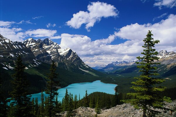 Lac de montagne belle eau bleue