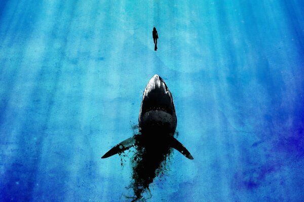 Requin et homme sous l eau