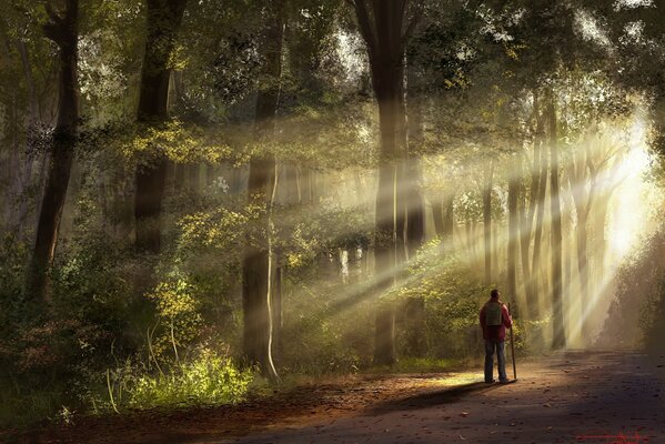 Homme solitaire dans la forêt éveillée