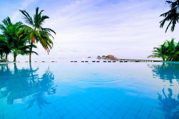 Swimming pool with clear blue water in Thailand. Palm trees and sky