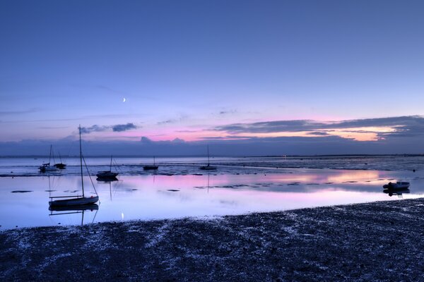 Yachts standing in peace, by the ocean