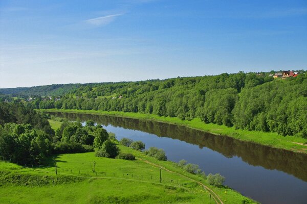 Rivière tranquille avec des rives vertes