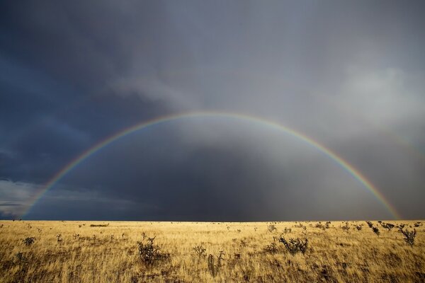 Nube hierba arco iris cielo