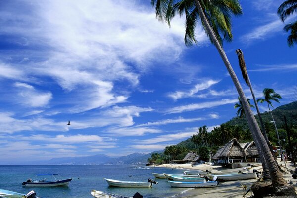 Boote und Pungalo stehen am Strand