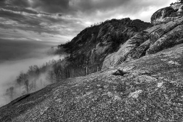 Fog descended in the mountains of Virginia