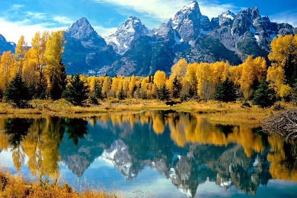 Lago en el bosque de otoño en las montañas. Cielo azul