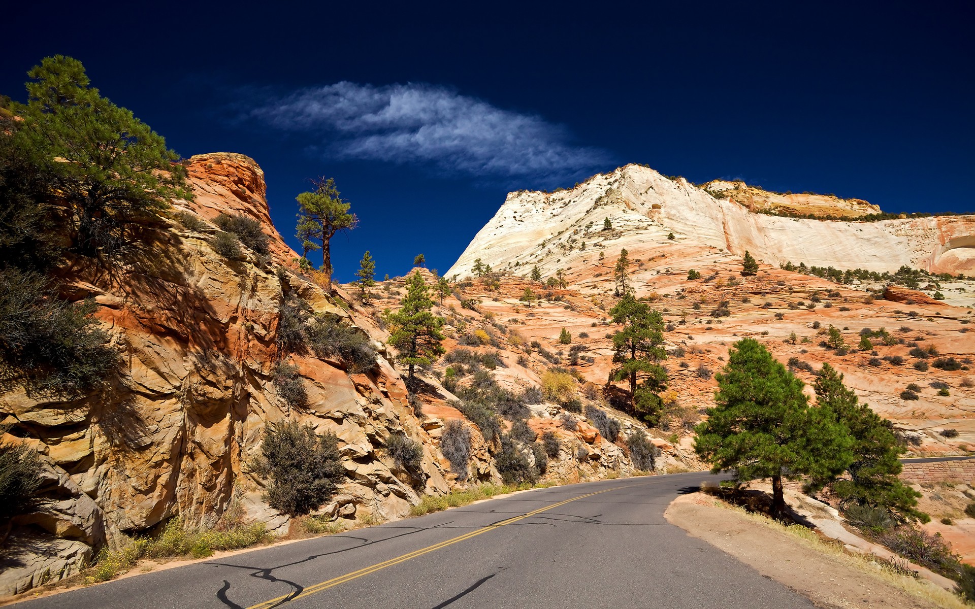 desierto rocas carretera cielo utah parque nacional zion