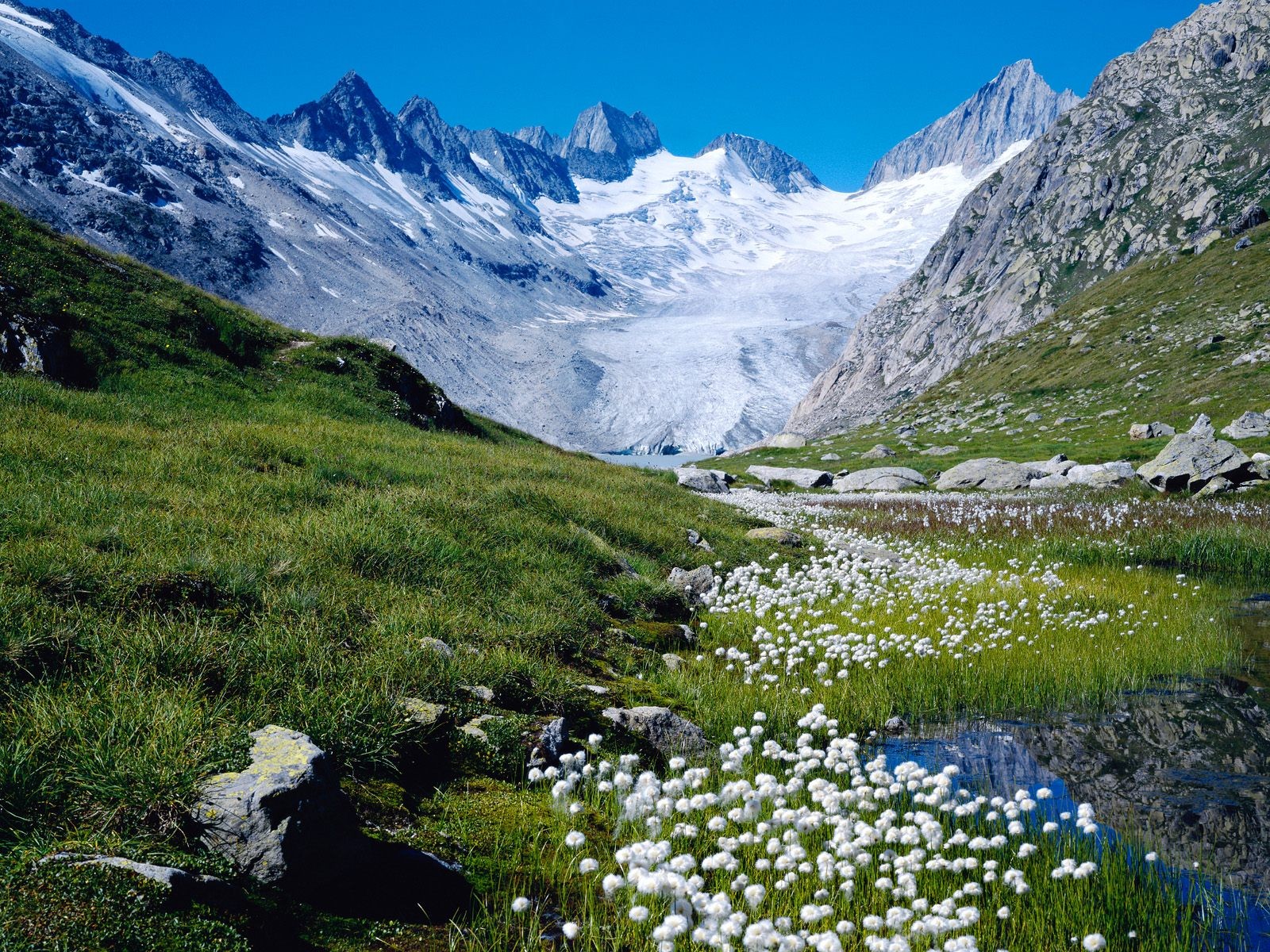 suiza montañas nieve