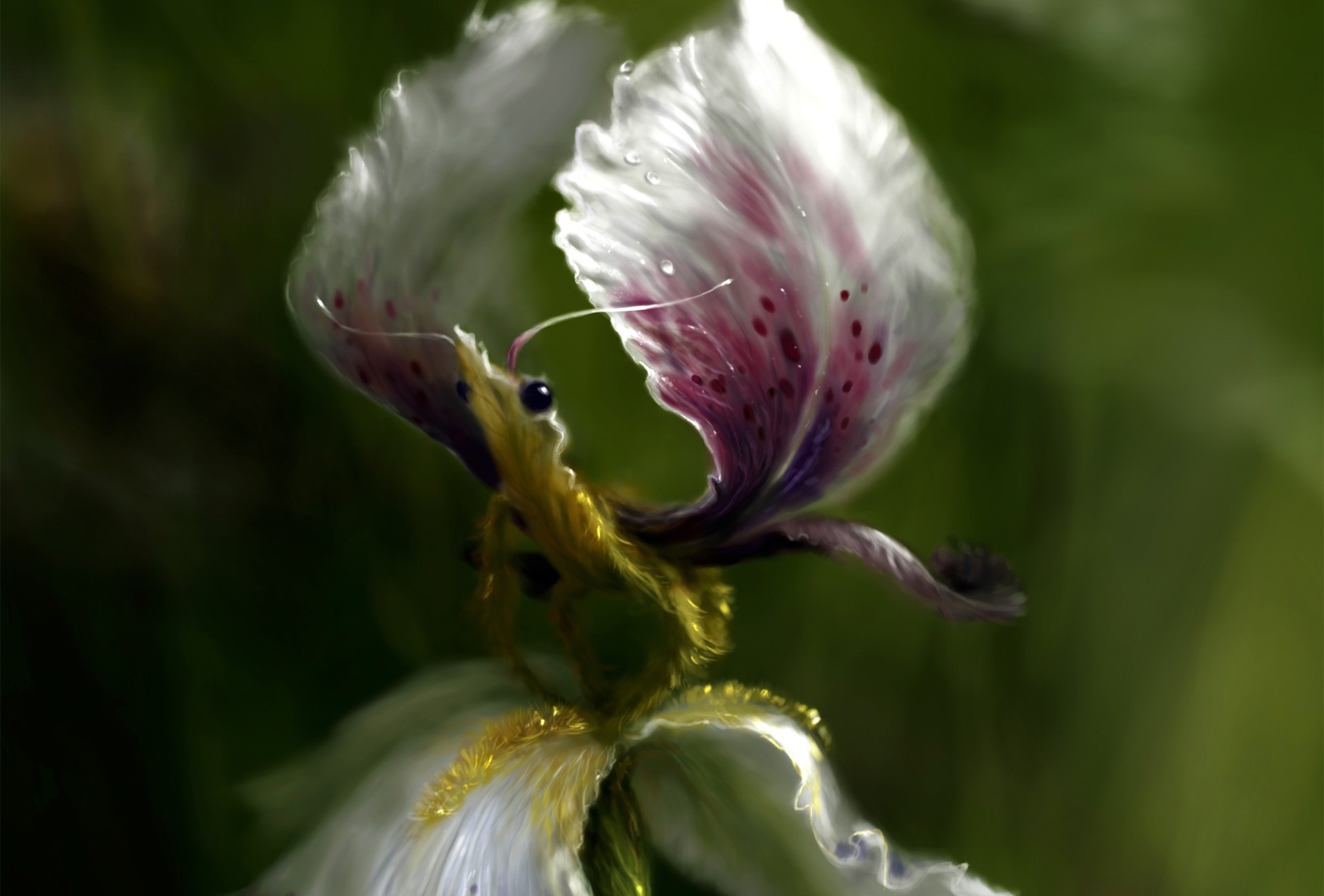 arte flor fantasía pétalos alas iris criatura