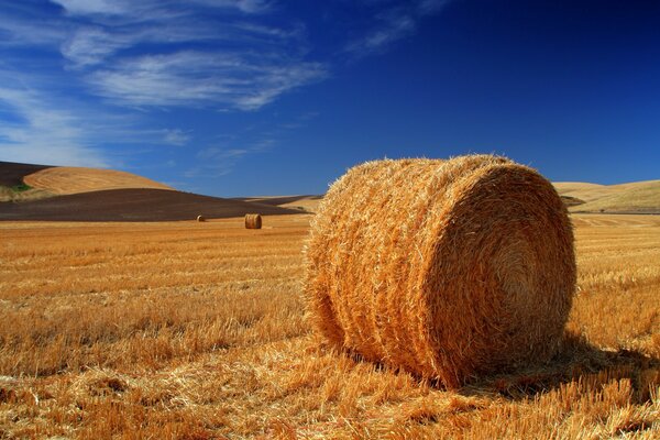 Pajar en el campo