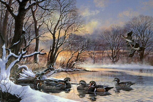 Schwarm von Enten Sonnenuntergang See Winter