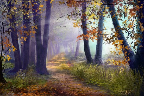Jesienny las w czasach mgły