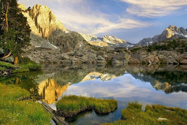 Bella natura vicino al lago in montagna